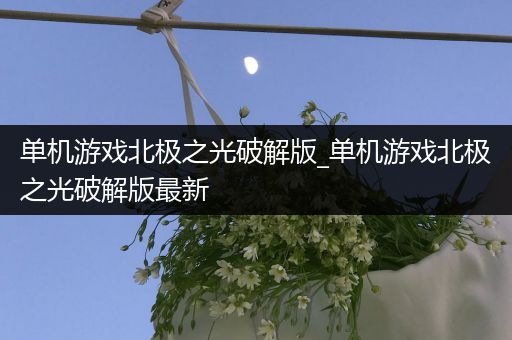 单机游戏北极之光破解版_单机游戏北极之光破解版最新
