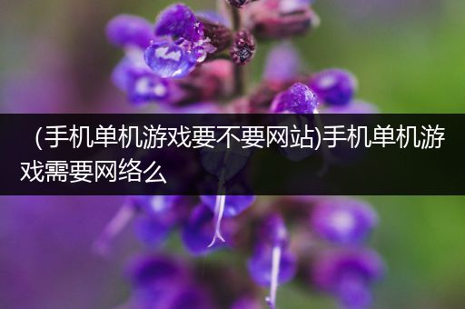 （手机单机游戏要不要网站)手机单机游戏需要网络么