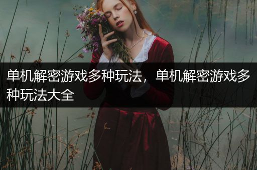 单机解密游戏多种玩法，单机解密游戏多种玩法大全
