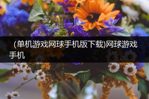 （单机游戏网球手机版下载)网球游戏 手机