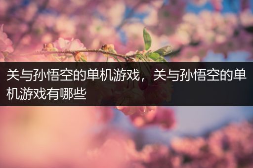 关与孙悟空的单机游戏，关与孙悟空的单机游戏有哪些