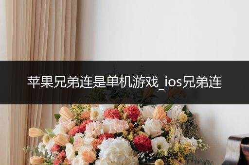 苹果兄弟连是单机游戏_ios兄弟连