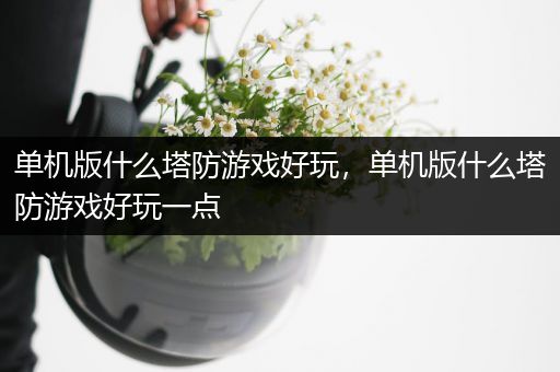 单机版什么塔防游戏好玩，单机版什么塔防游戏好玩一点