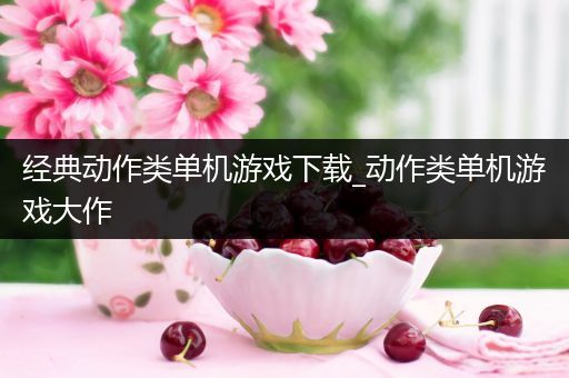 经典动作类单机游戏下载_动作类单机游戏大作