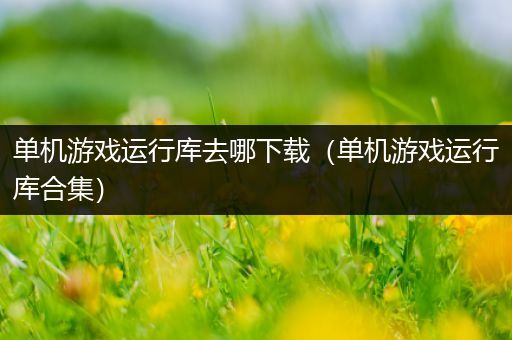 单机游戏运行库去哪下载（单机游戏运行库合集）