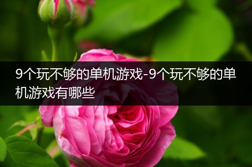 9个玩不够的单机游戏-9个玩不够的单机游戏有哪些