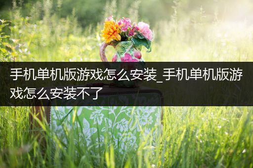 手机单机版游戏怎么安装_手机单机版游戏怎么安装不了