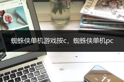 蜘蛛侠单机游戏按c，蜘蛛侠单机pc