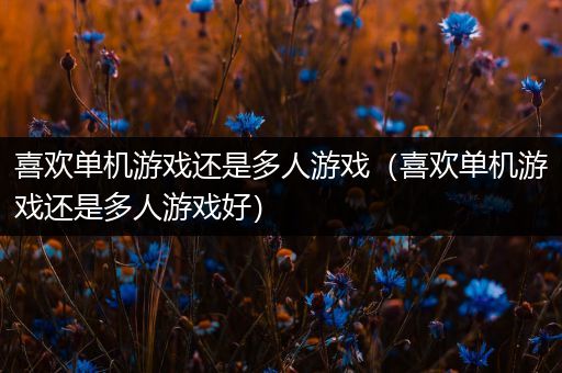 喜欢单机游戏还是多人游戏（喜欢单机游戏还是多人游戏好）