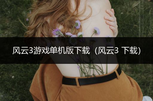 风云3游戏单机版下载（风云3 下载）