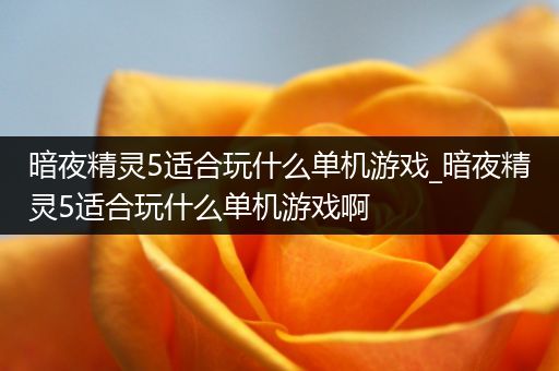 暗夜精灵5适合玩什么单机游戏_暗夜精灵5适合玩什么单机游戏啊