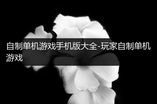 自制单机游戏手机版大全-玩家自制单机游戏