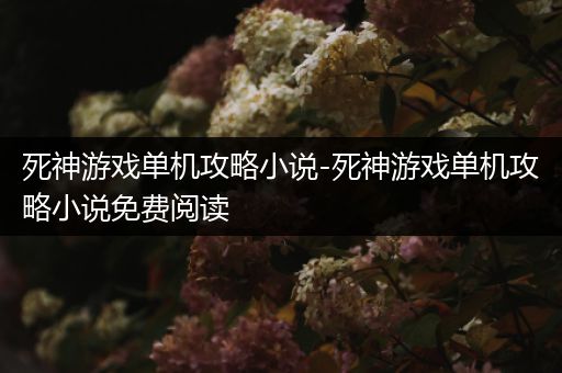死神游戏单机攻略小说-死神游戏单机攻略小说免费阅读