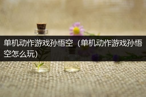单机动作游戏孙悟空（单机动作游戏孙悟空怎么玩）