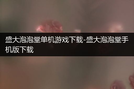 盛大泡泡堂单机游戏下载-盛大泡泡堂手机版下载