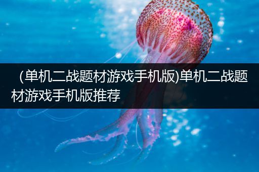 （单机二战题材游戏手机版)单机二战题材游戏手机版推荐
