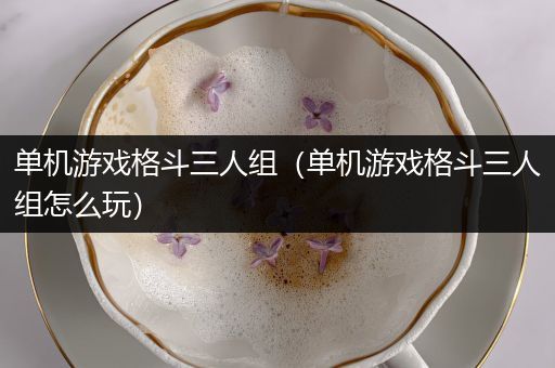 单机游戏格斗三人组（单机游戏格斗三人组怎么玩）