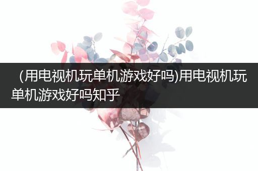 （用电视机玩单机游戏好吗)用电视机玩单机游戏好吗知乎