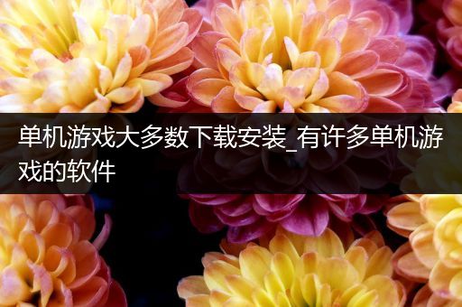 单机游戏大多数下载安装_有许多单机游戏的软件