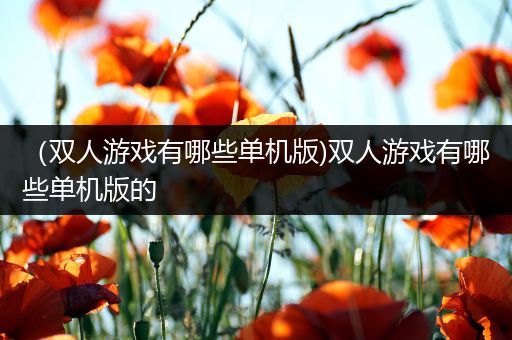 （双人游戏有哪些单机版)双人游戏有哪些单机版的