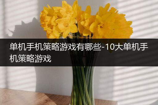 单机手机策略游戏有哪些-10大单机手机策略游戏