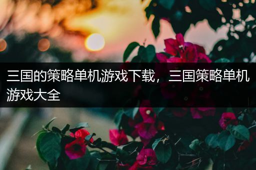 三国的策略单机游戏下载，三国策略单机游戏大全
