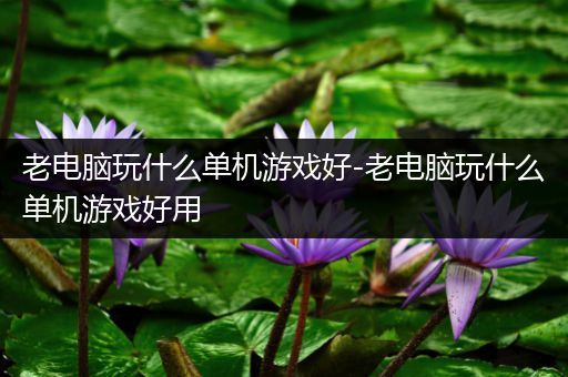 老电脑玩什么单机游戏好-老电脑玩什么单机游戏好用