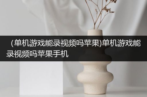 （单机游戏能录视频吗苹果)单机游戏能录视频吗苹果手机