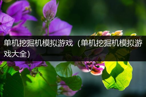 单机挖掘机模拟游戏（单机挖掘机模拟游戏大全）