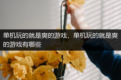 单机玩的就是爽的游戏，单机玩的就是爽的游戏有哪些