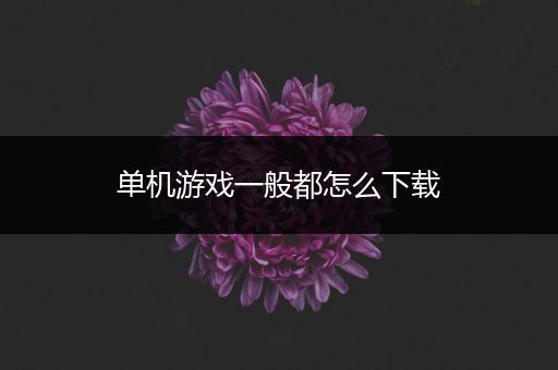 单机游戏一般都怎么下载