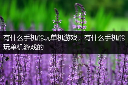有什么手机能玩单机游戏，有什么手机能玩单机游戏的