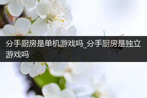 分手厨房是单机游戏吗_分手厨房是独立游戏吗