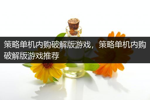 策略单机内购破解版游戏，策略单机内购破解版游戏推荐