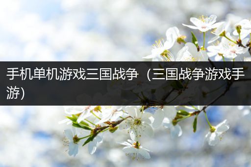 手机单机游戏三国战争（三国战争游戏手游）