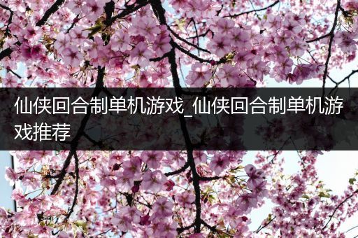 仙侠回合制单机游戏_仙侠回合制单机游戏推荐