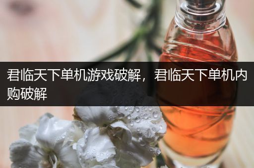 君临天下单机游戏破解，君临天下单机内购破解