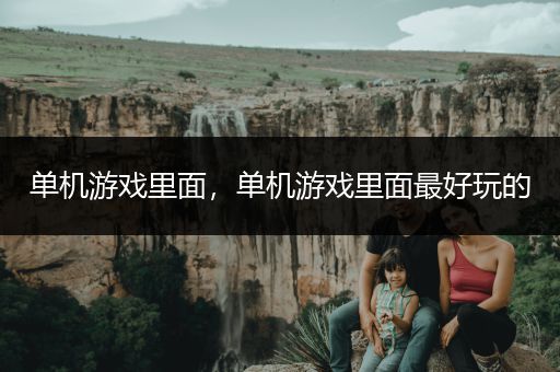 单机游戏里面，单机游戏里面最好玩的