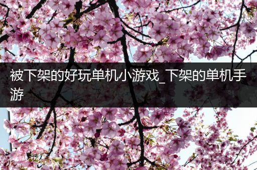 被下架的好玩单机小游戏_下架的单机手游