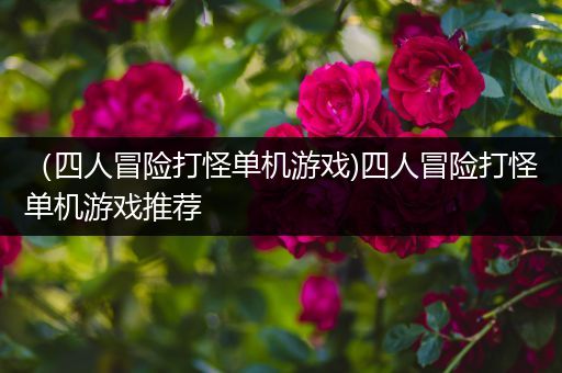 （四人冒险打怪单机游戏)四人冒险打怪单机游戏推荐
