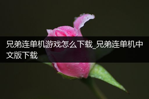 兄弟连单机游戏怎么下载_兄弟连单机中文版下载