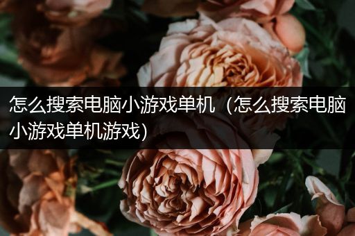 怎么搜索电脑小游戏单机（怎么搜索电脑小游戏单机游戏）