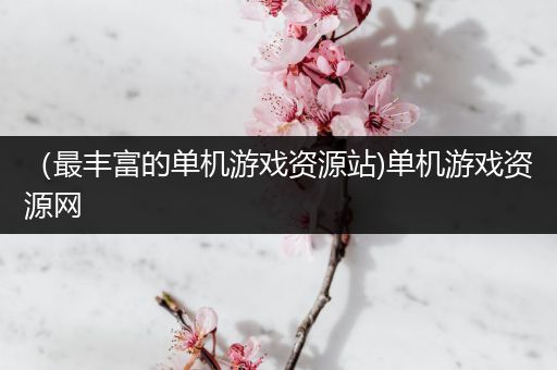 （最丰富的单机游戏资源站)单机游戏资源网