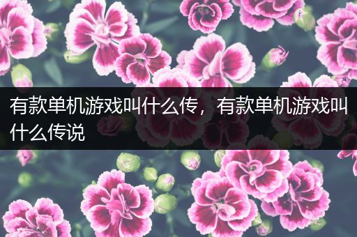 有款单机游戏叫什么传，有款单机游戏叫什么传说