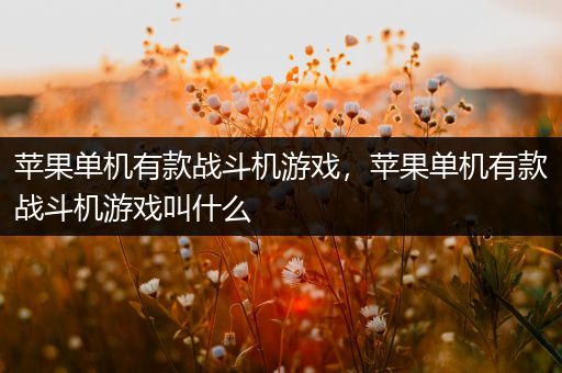 苹果单机有款战斗机游戏，苹果单机有款战斗机游戏叫什么