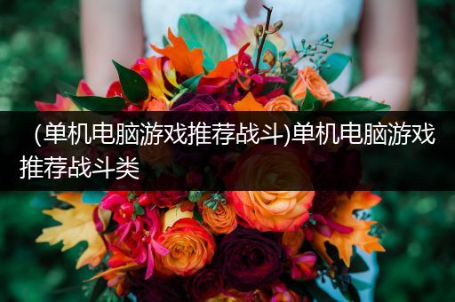 （单机电脑游戏推荐战斗)单机电脑游戏推荐战斗类