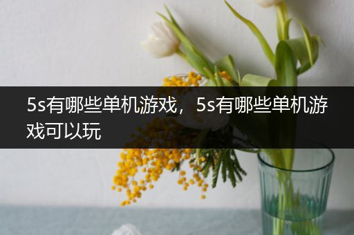 5s有哪些单机游戏，5s有哪些单机游戏可以玩