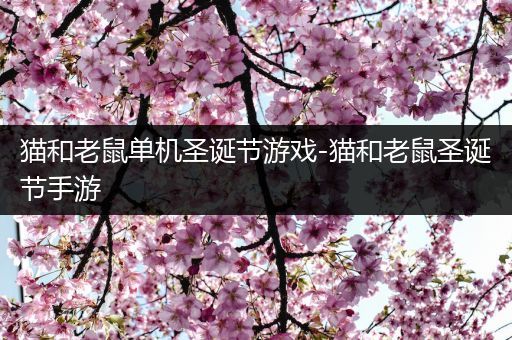 猫和老鼠单机圣诞节游戏-猫和老鼠圣诞节手游