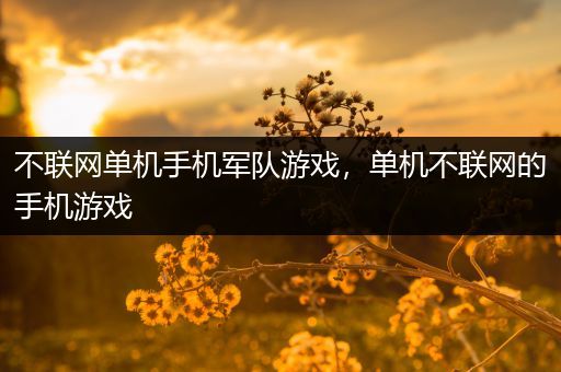 不联网单机手机军队游戏，单机不联网的手机游戏