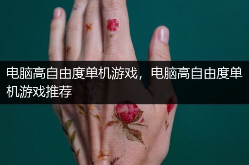 电脑高自由度单机游戏，电脑高自由度单机游戏推荐